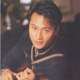 霸道的溫柔(1995年陳志朋發行的專輯) 霸道的溫柔(1995年陳志朋發行的專輯)