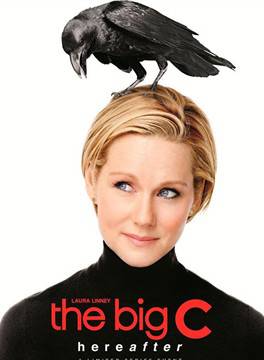 辛西婭·尼克森(Cynthia Nixon)