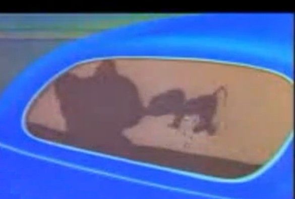 耗子舔貓鼻