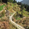 雙岙平坑古道 雙岙平坑古道