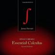 Single Variable Essential Calculus
