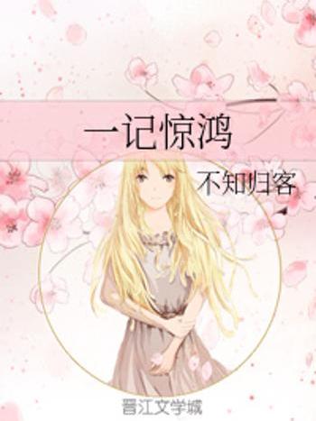 一記驚鴻 一記驚鴻