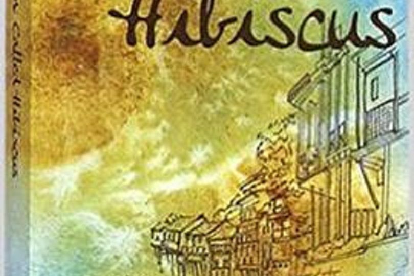 A Small Town Called Hibiscus A Small Town Called Hibiscus