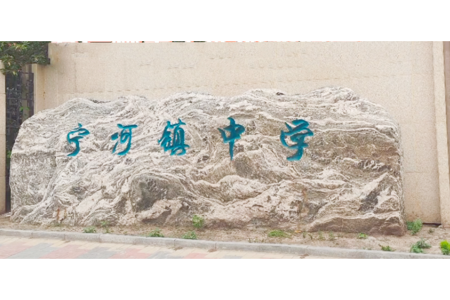 天津市寧河區寧河鎮中學(寧河中學) 天津市寧河區寧河鎮中學(寧河中學)