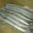 舟山帶魚 舟山帶魚