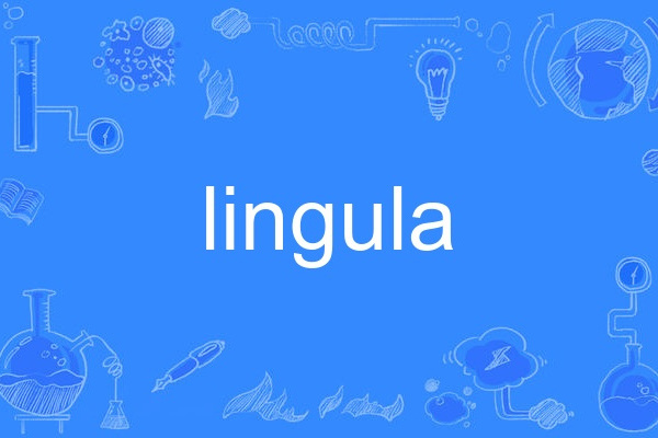 lingula lingula