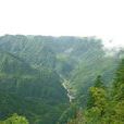 四十里山