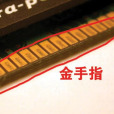 金手指(記憶體條的金黃色導電觸片) 金手指(記憶體條的金黃色導電觸片)