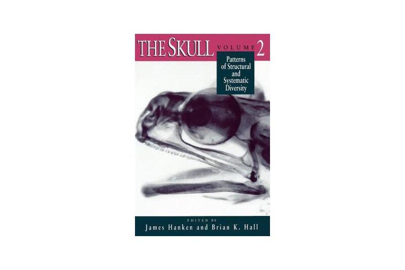The Skull The Skull