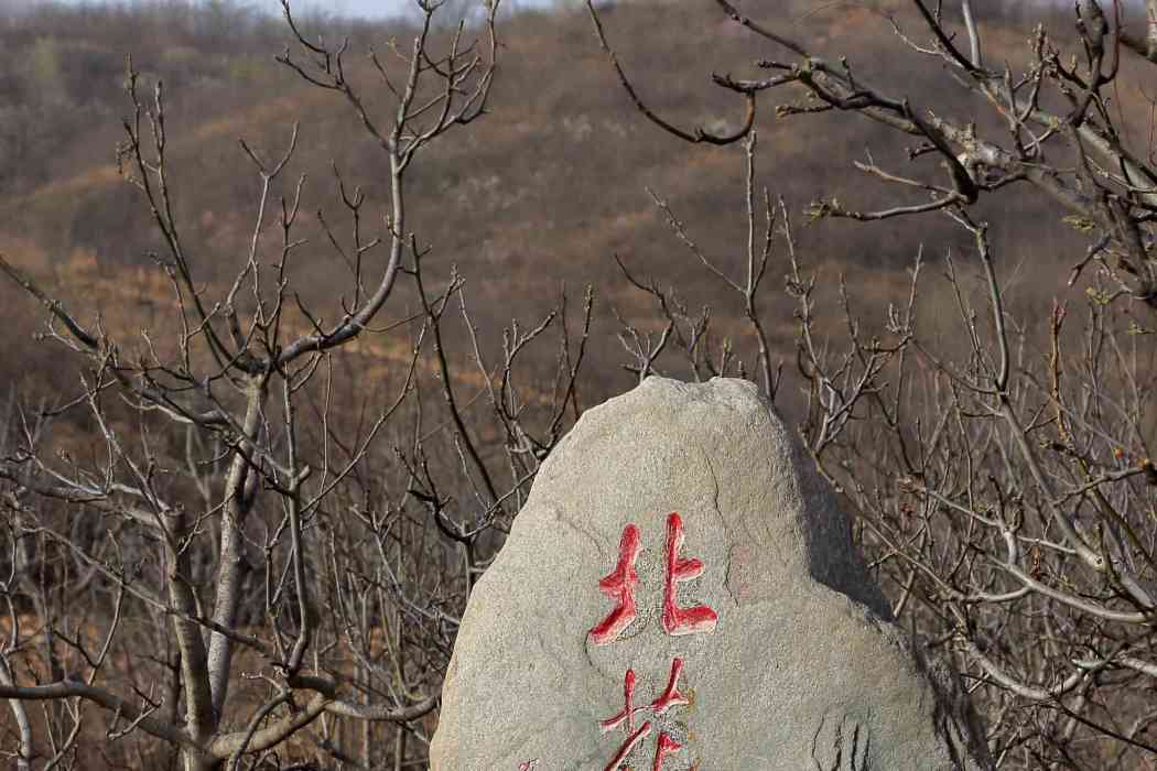 北花園村(贊皇縣院頭鎮下轄村) 北花園村(贊皇縣院頭鎮下轄村)