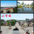 小市鎮(安徽省懷寧縣小市鎮)
