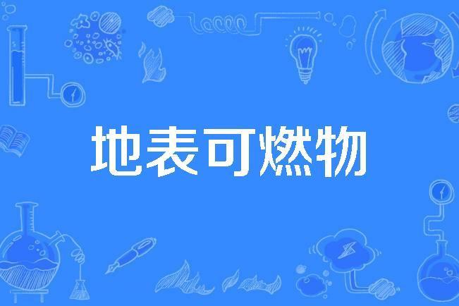 地表可燃物 地表可燃物