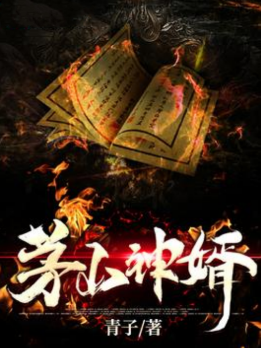 茅山神婿 茅山神婿