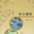 審計感悟 審計感悟