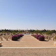 阿拉曼戰爭公墓