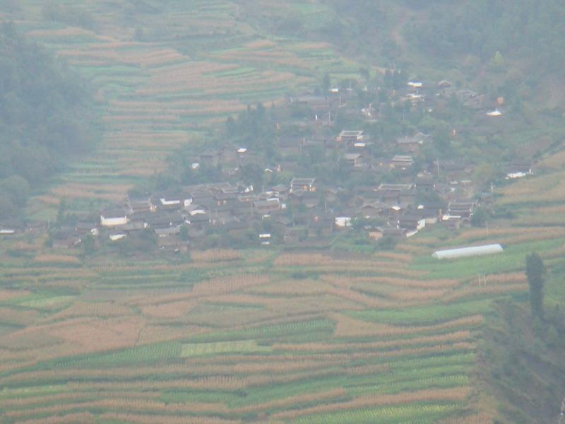 阿金華村 阿金華村