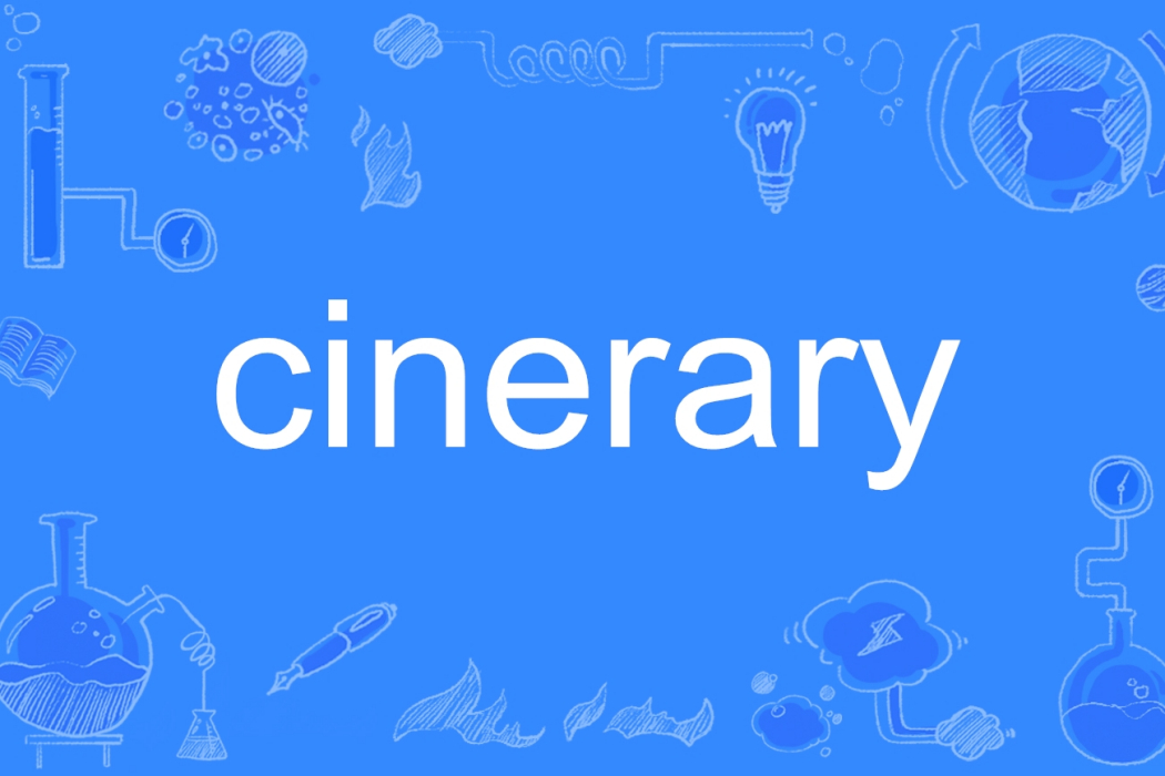 cinerary cinerary