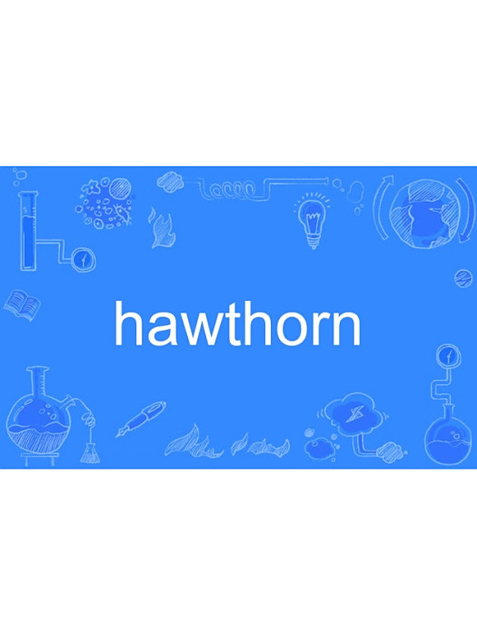 hawthorn hawthorn