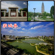 蒙城縣(蒙（蒙城簡稱）)