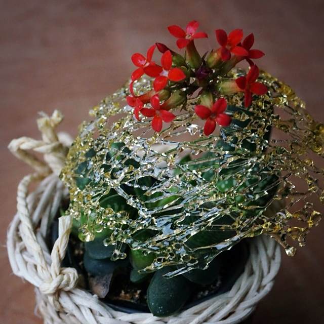糖網 糖網