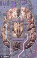人腦晶片
