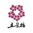 五朵梅 五朵梅
