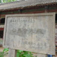 白馬寺(河南省扶溝縣白馬寺) 白馬寺(河南省扶溝縣白馬寺)
