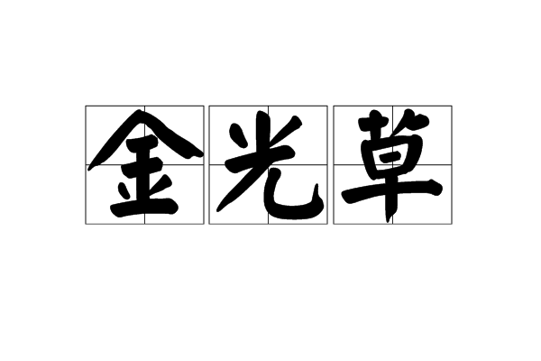 金光草 金光草