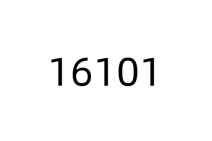 16101 16101