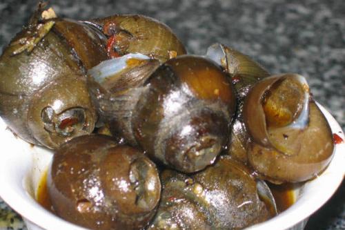 豆豉田螺湯 豆豉田螺湯