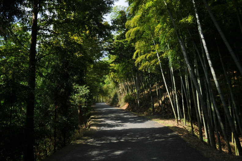 回峰嶺古道 回峰嶺古道