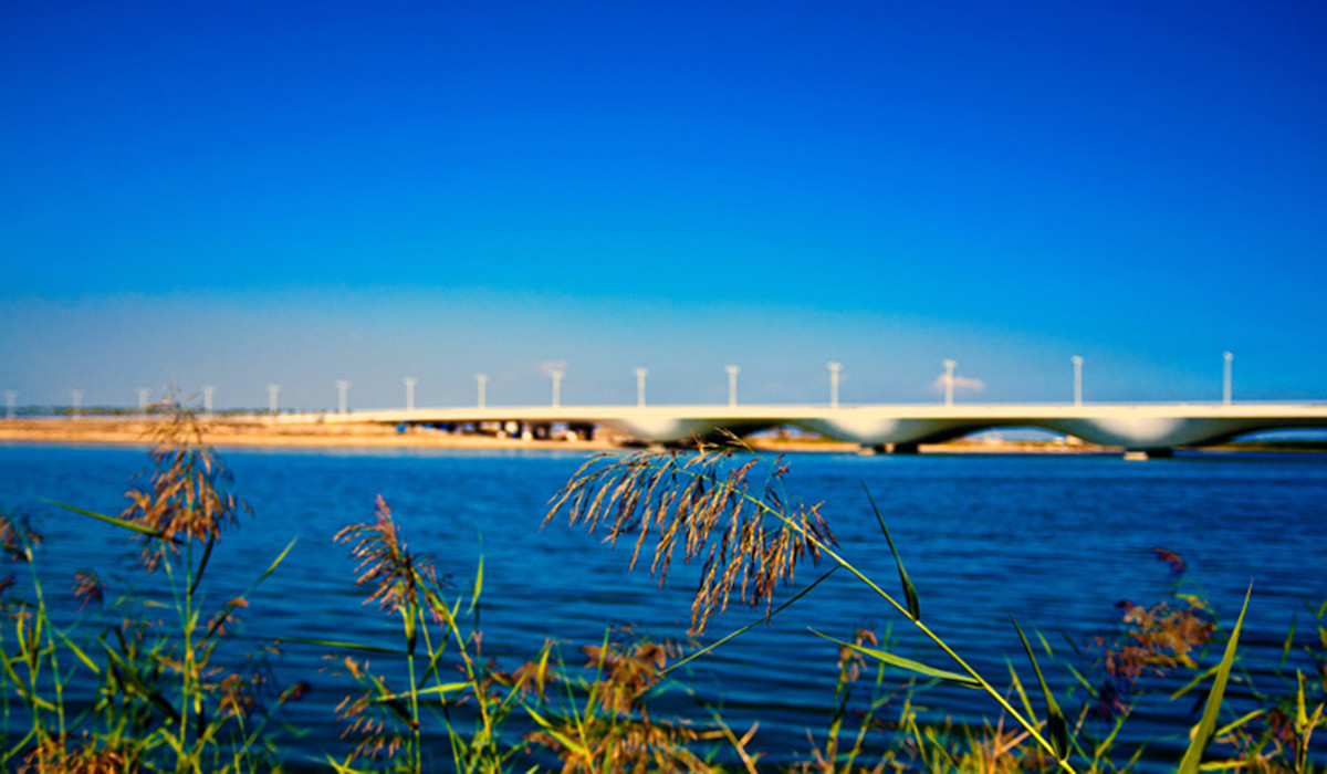 海河魚腹橋