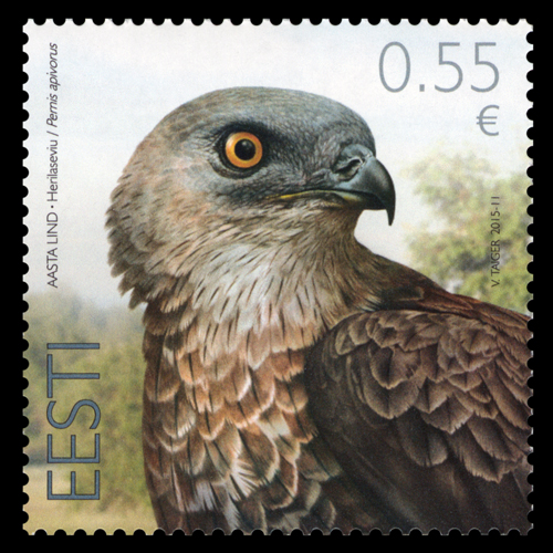 愛沙尼亞鳥類系列——蜂鷹