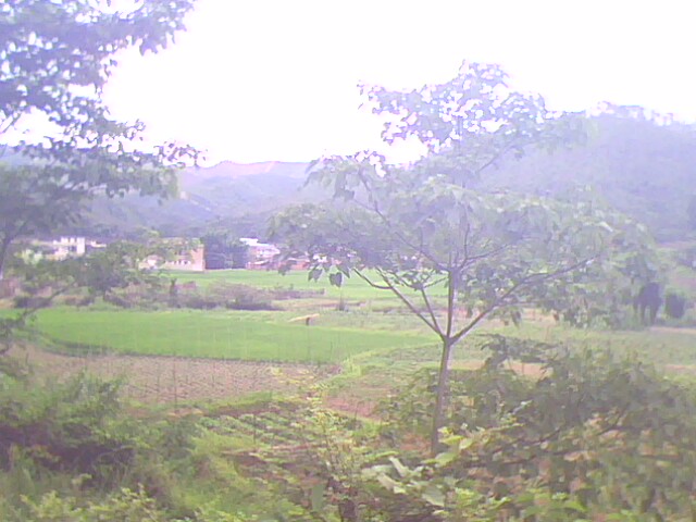 雙羅村