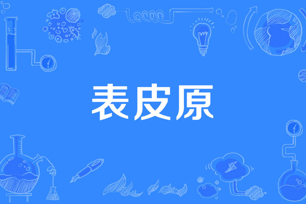 表皮原 表皮原