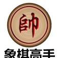 象棋高手 象棋高手