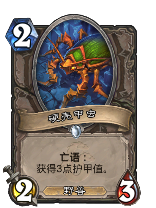 硬殼甲蟲 硬殼甲蟲