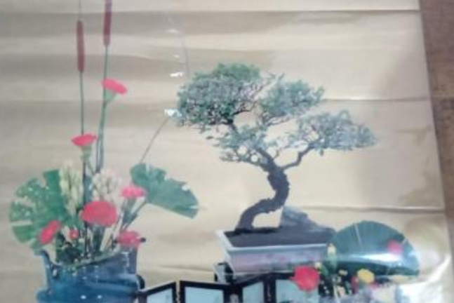 書苑精華 書苑精華