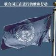 聯合國西撒哈拉全民投票特派團