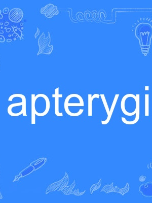 apterygial apterygial