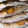 悶黃魚 悶黃魚