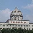 重慶大學美視電影學院(美視電影學院)