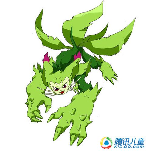 小神苗 小神苗