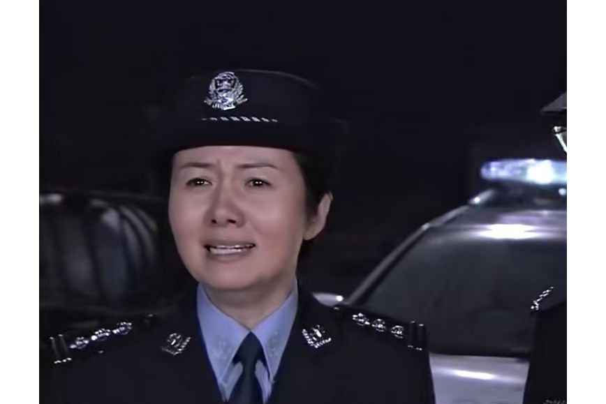 嚴麗(當代涉案劇《天網·行蹤》中的角色) 嚴麗(當代涉案劇《天網·行蹤》中的角色)