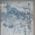 卞雪松 卞雪松