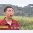 王連升(黔西南古方紅糖有限責任公司總經理) 王連升(黔西南古方紅糖有限責任公司總經理)