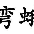 彎蛾