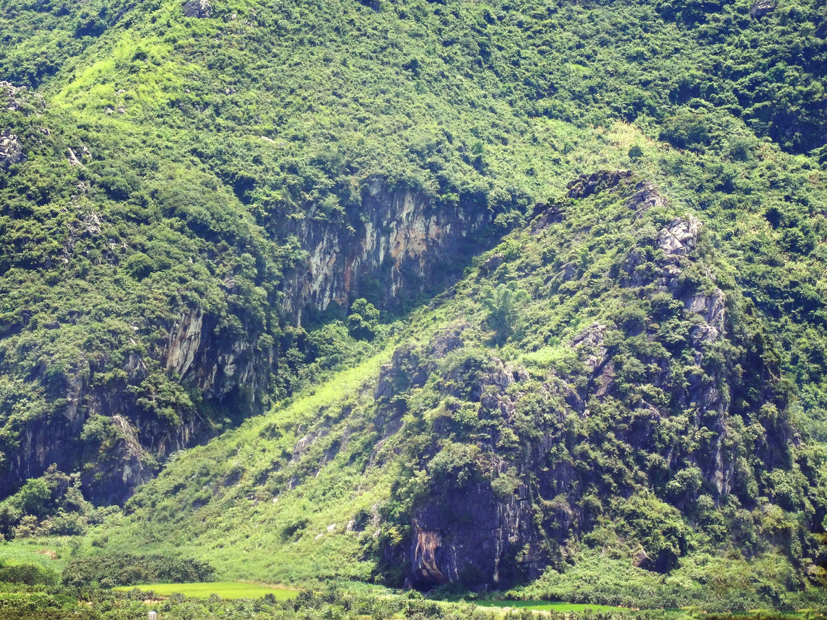 山王自然村