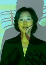 追愛總動員(高亞麟執導電影)
