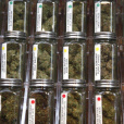 大麻合法化 大麻合法化